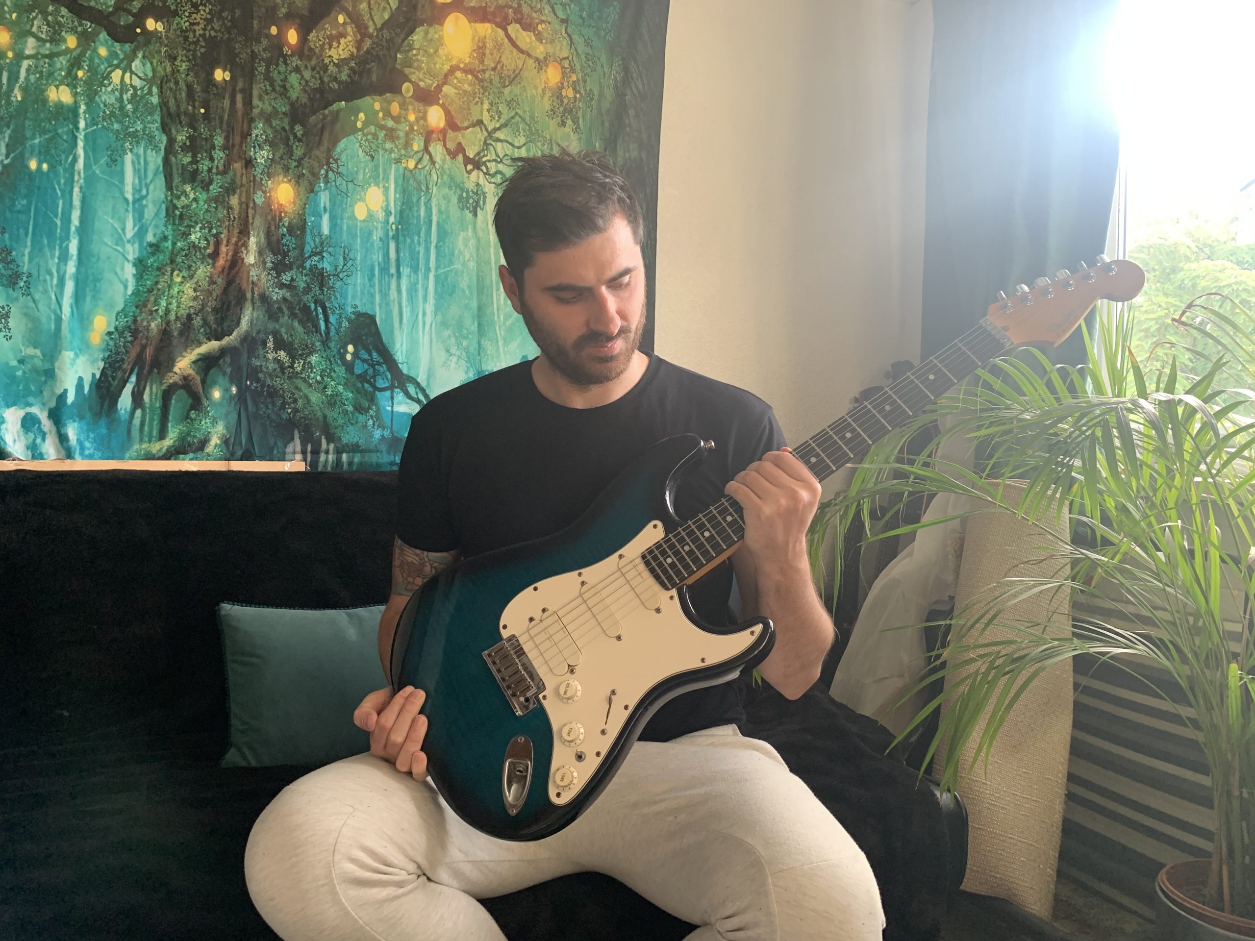 Guitar