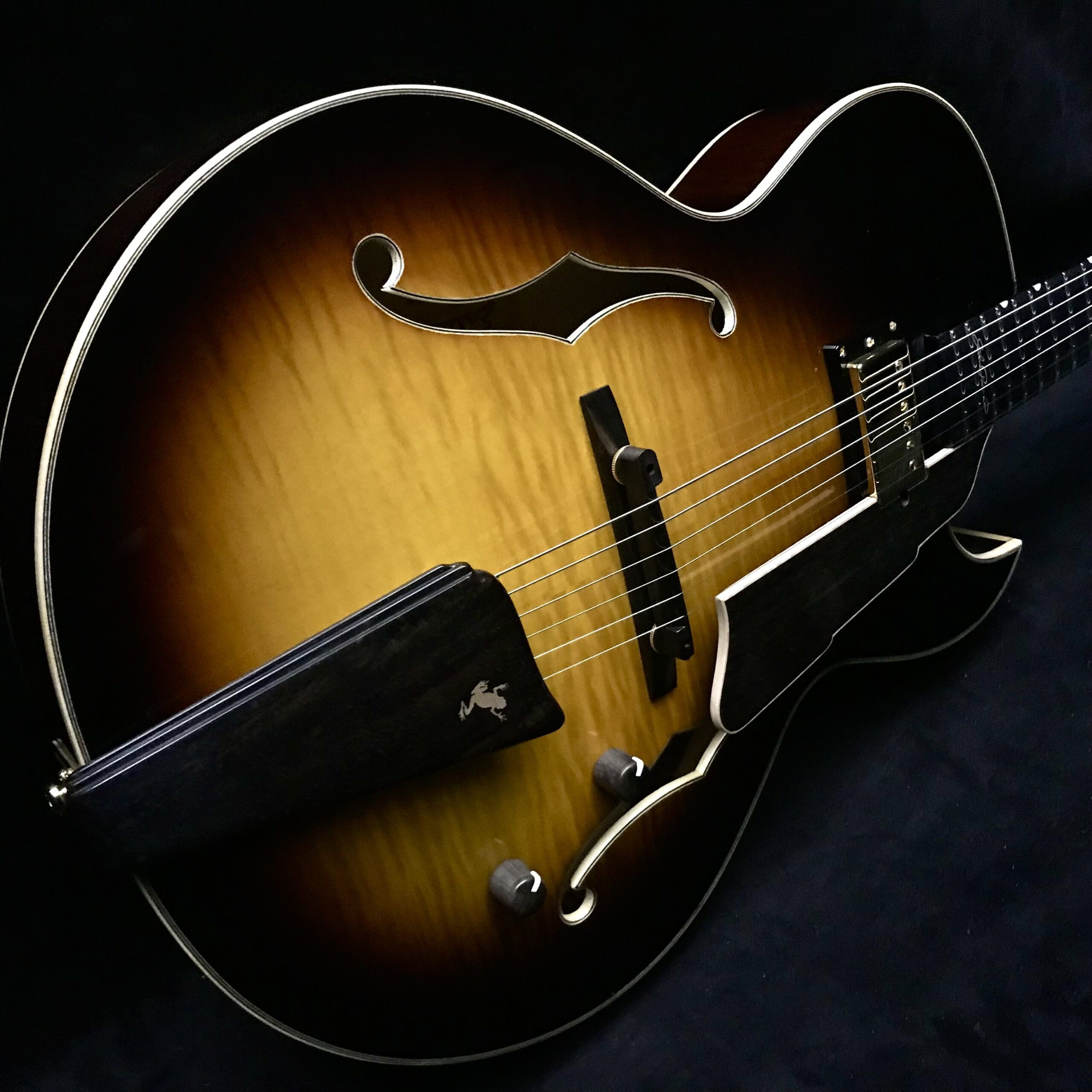 Newest Eastman John Pisano 30th Anniversary AR480CE 2200436 Archtop