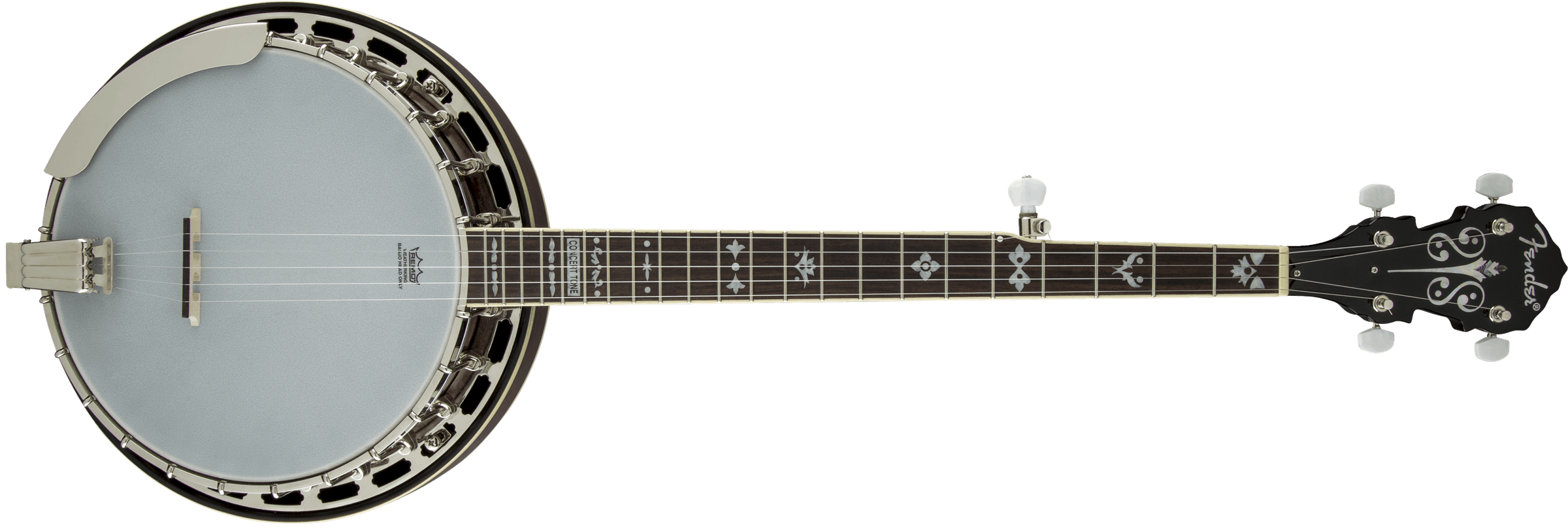 Top 5 Best Banjo Brands for Beginning Banjo Players Guitar Space