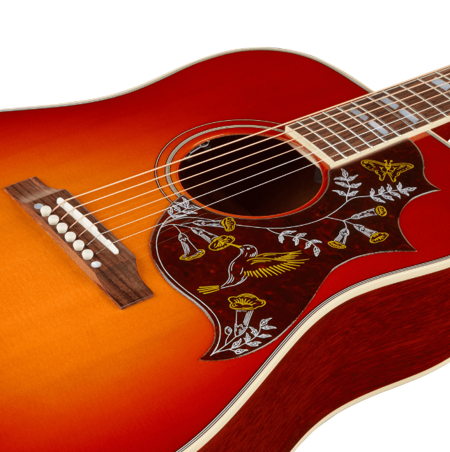 A Guide On Acoustic Electric Guitars vs NonElectric Acoustic Guitars
