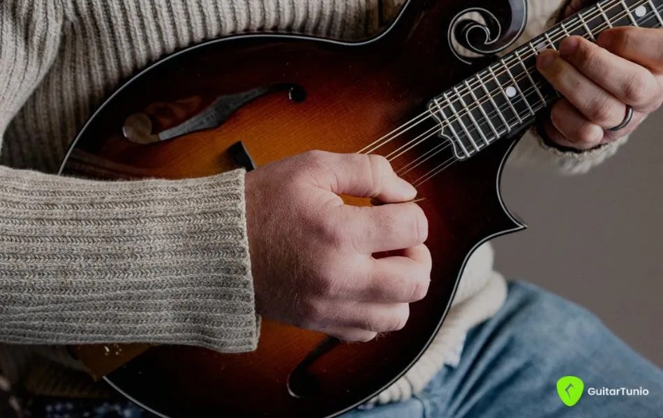 Mandolin Tuning Notes Tuning Tutorial Guitar Tuner Guitar Tunio