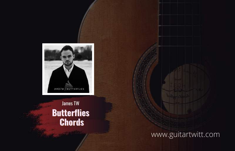 James TW Butterflies Chords For Guitar Piano & Ukulele Guitartwitt