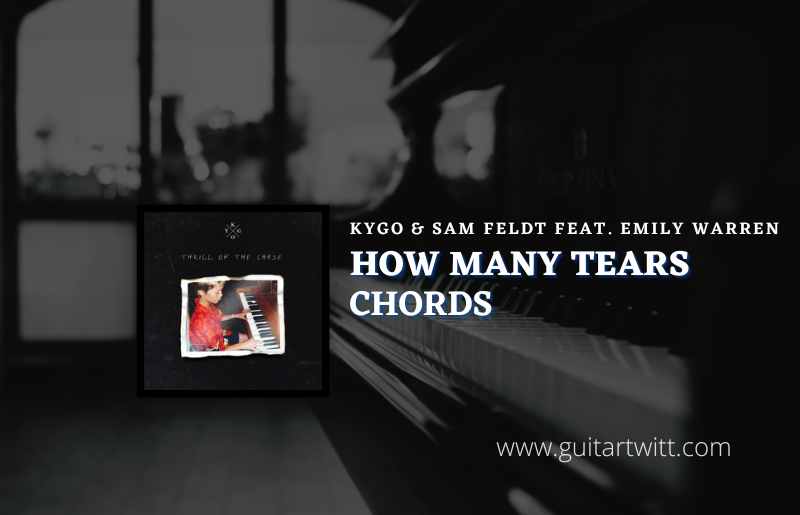 How Many Tears Chords By Kygo & Sam Feldt Feat. Emily Warren Guitartwitt