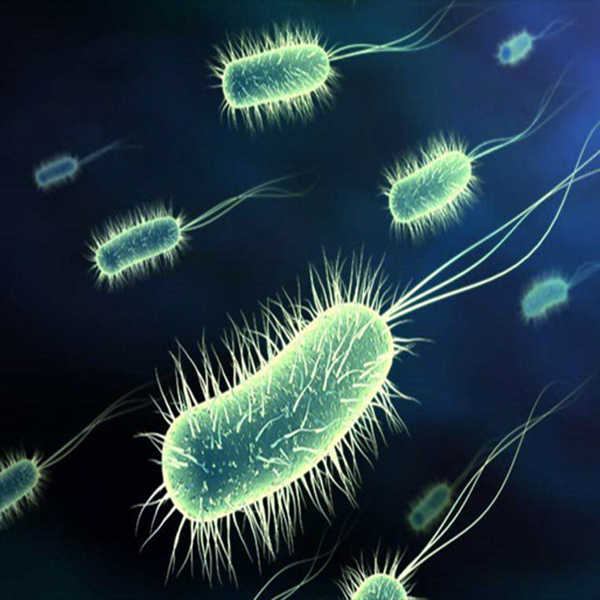 L’importance des KNF GUITOX