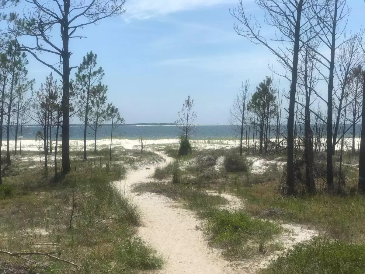 WindMark Beach Area Coastal Realty Group