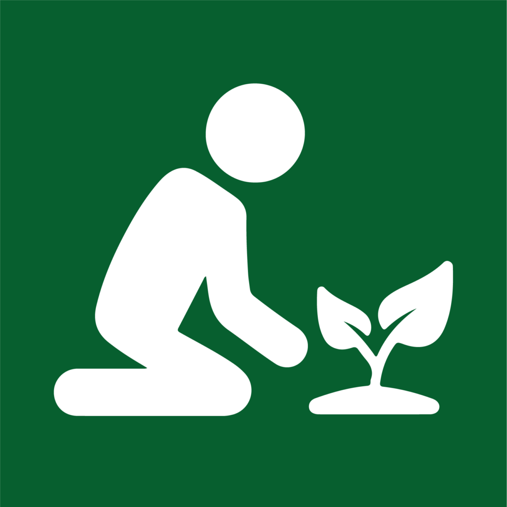 Landscaping and Lawn Maintenance Victoria, Texas