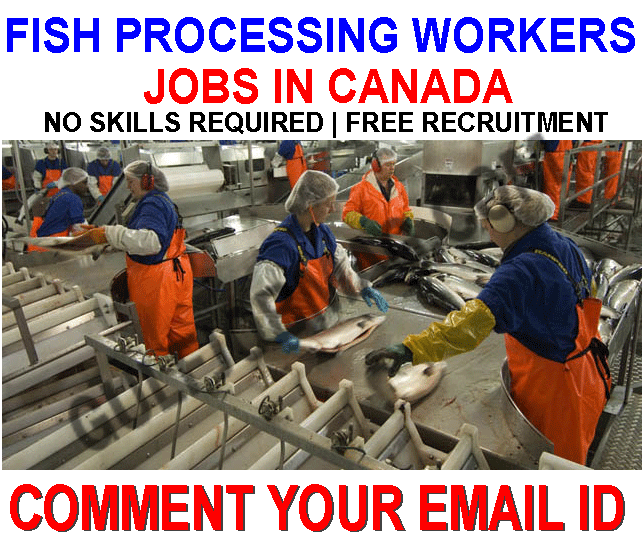 Fish Processing Worker required for Canada Gulf Job Mag