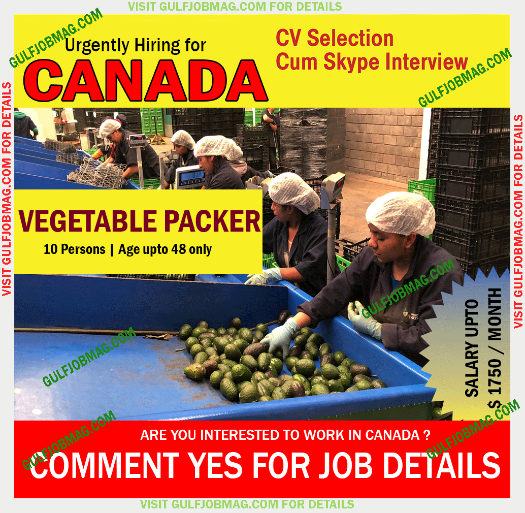 Vegetable Packer wanted in Canada Gulf Job Mag
