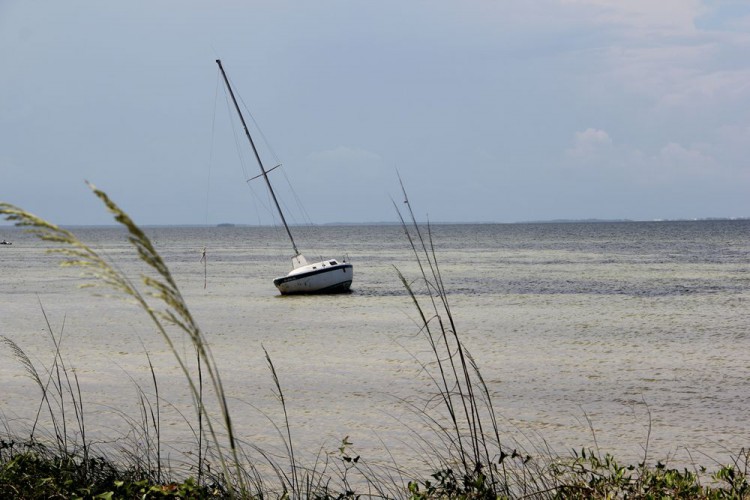 The Coast of Florida’s Panhandle Gulf Latitudes