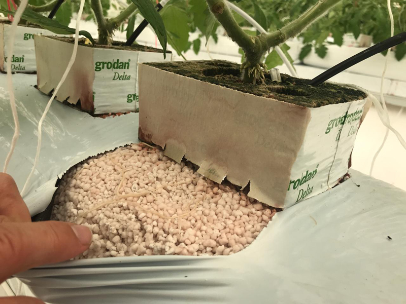 Agriculture Gulf Perlite L.L.C.