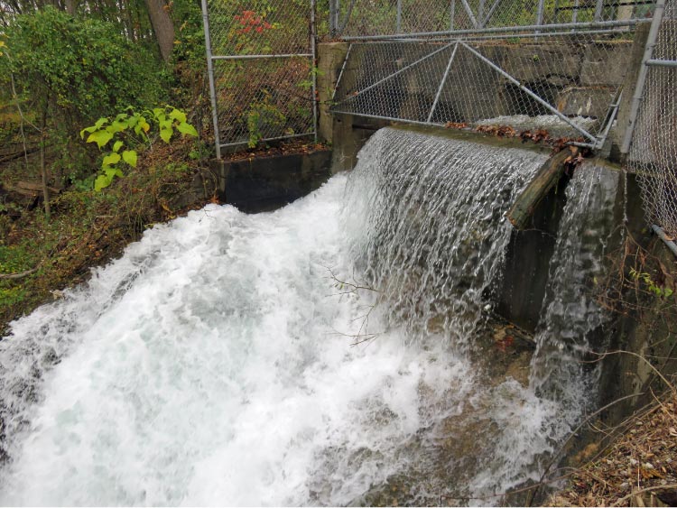 What's New Gull Lake Dam Association