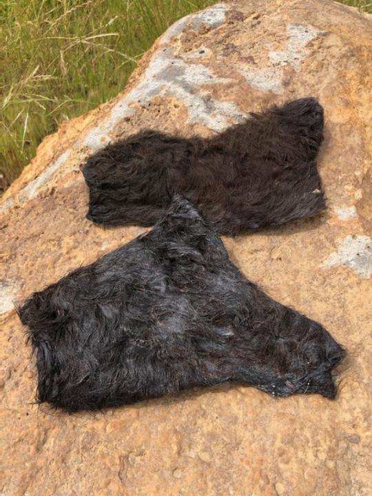 Cow's Hide Gully Road Dog treat & Dog Food