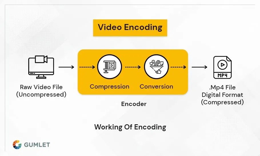 Transcoding vs Encoding A Quick Guide