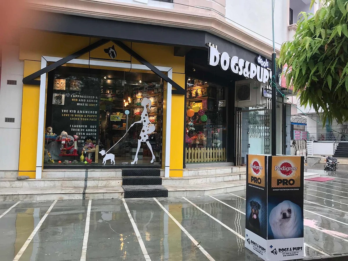 5 pet stores in Lucknow which should be your goto spot for your furbabies!