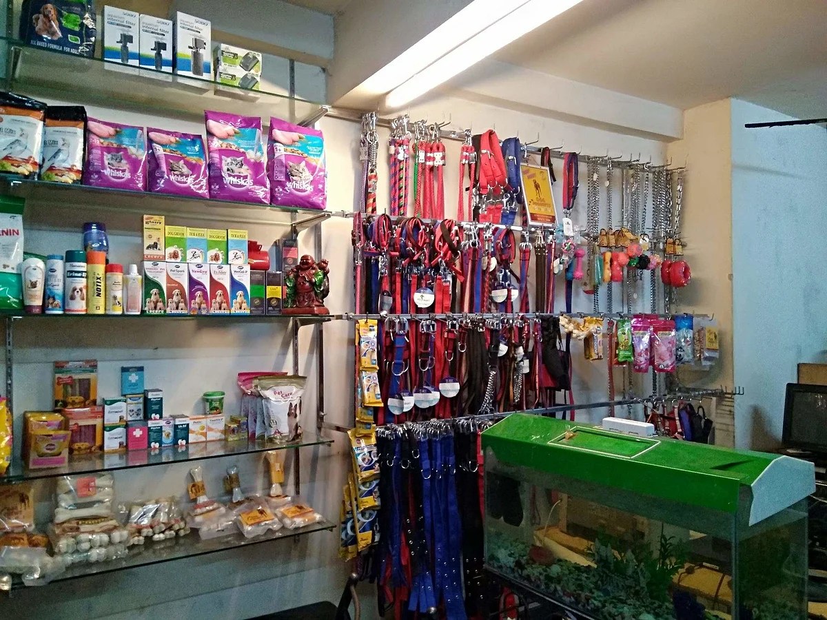 5 pet stores in Lucknow which you should bookmark for your pet's health