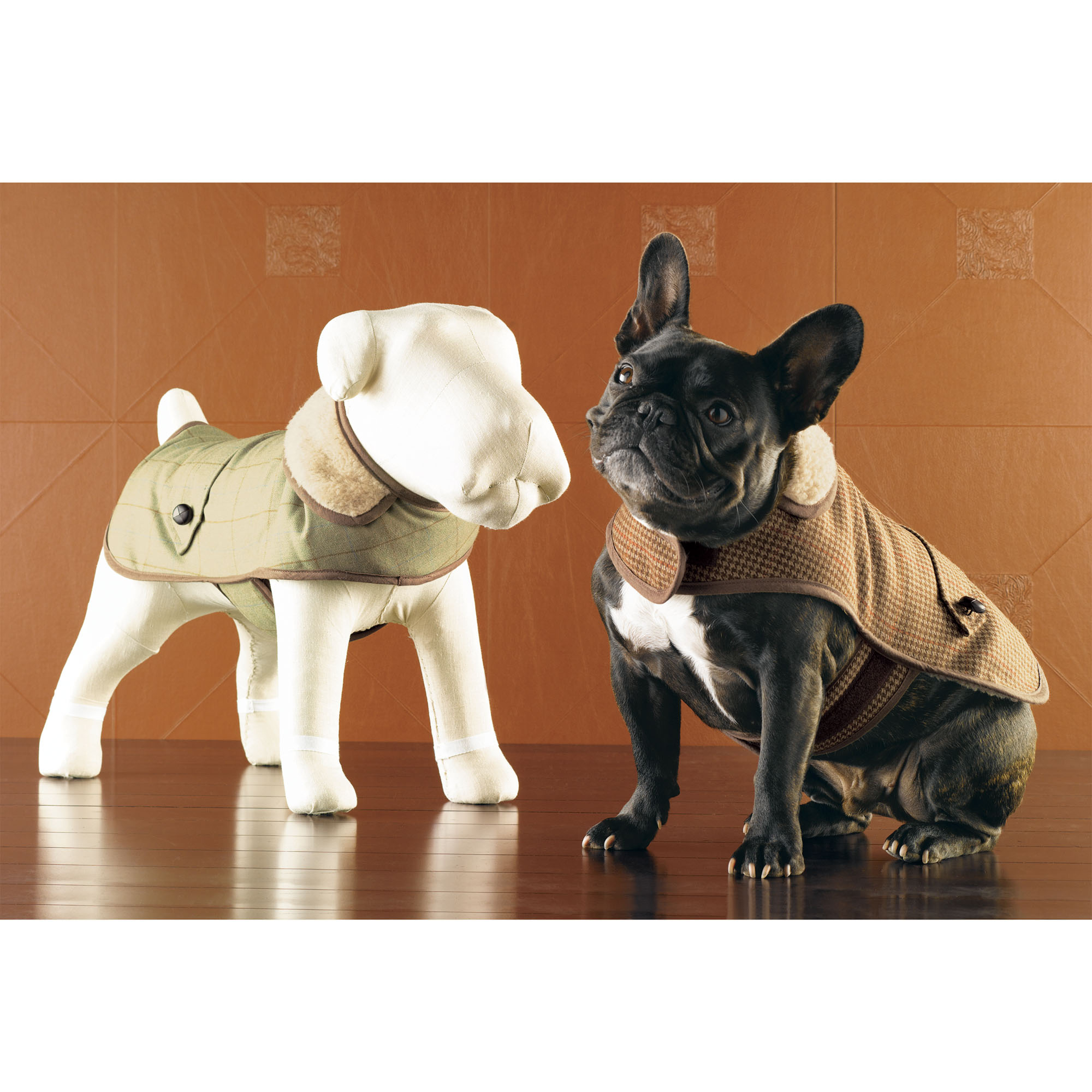 Debonair Dog Coats Gump's