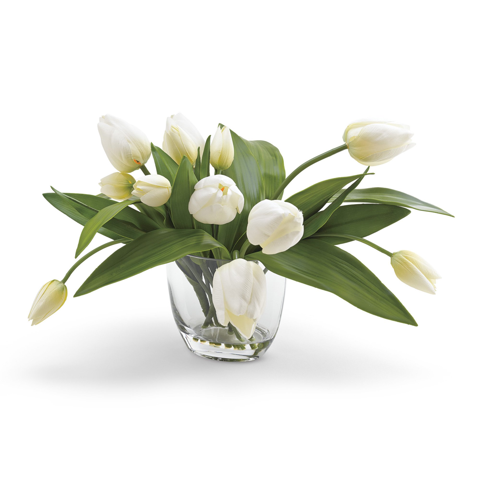 French White Tulip Arrangement Gump's