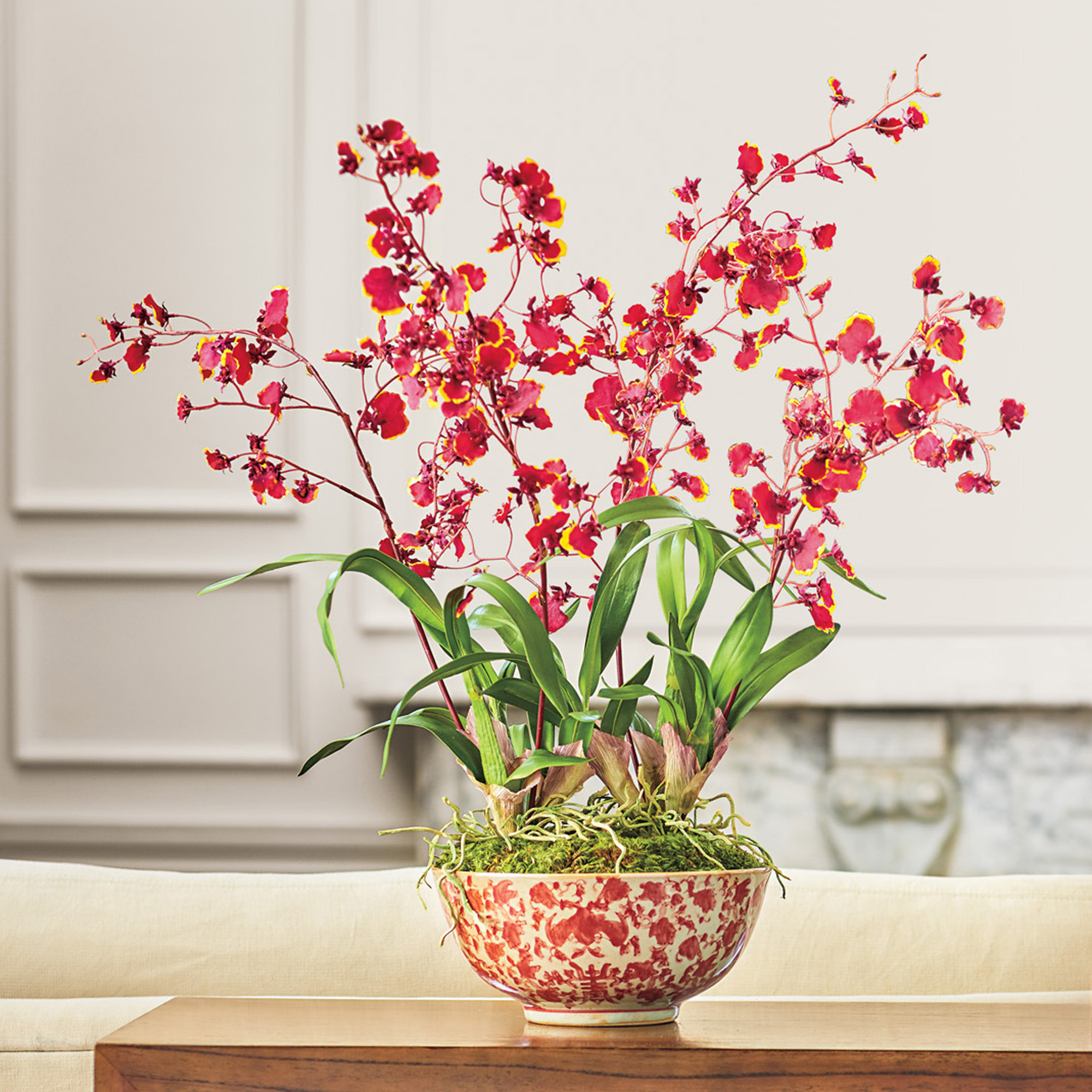 Dancing Oncidium Orchid Arrangement Gump's