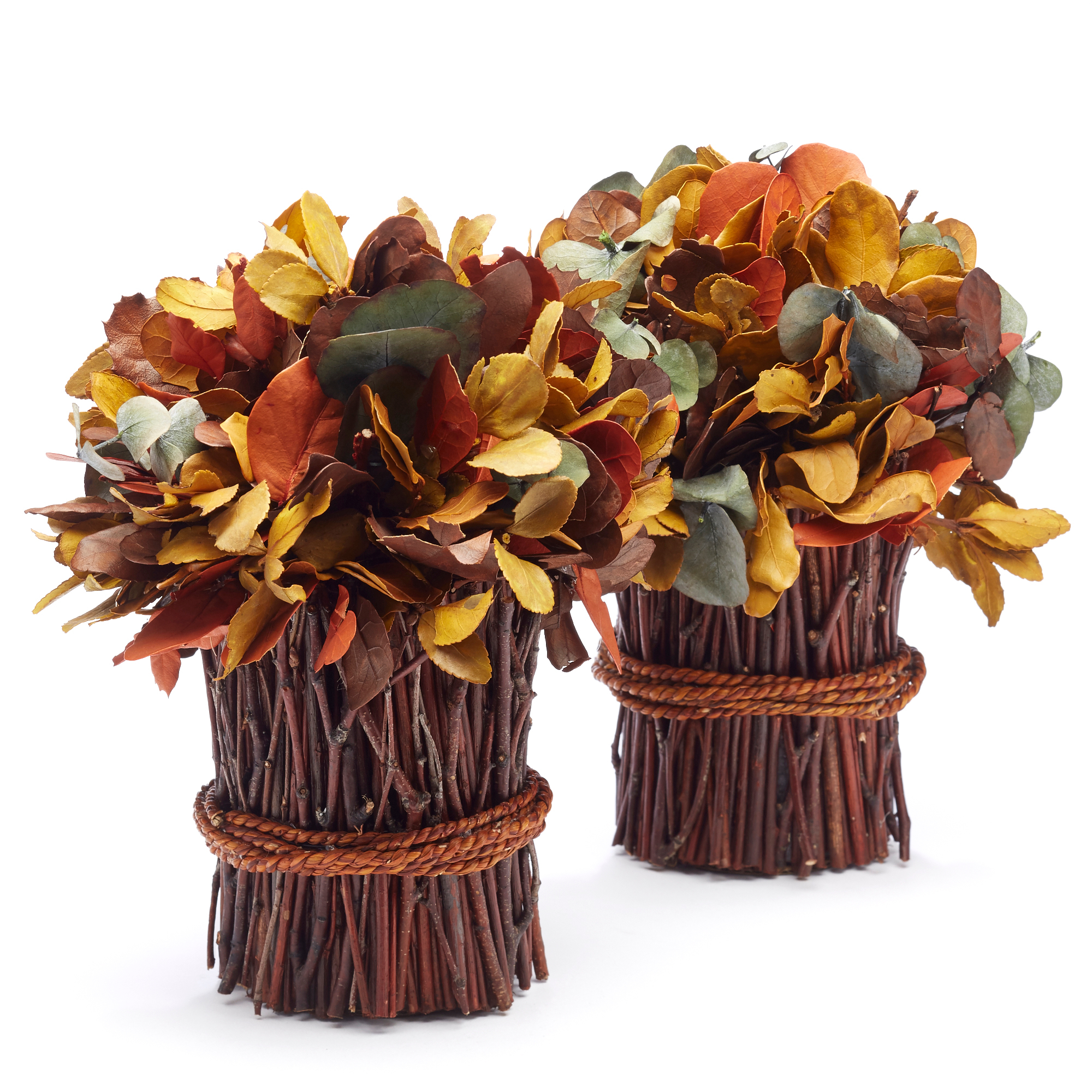 Preserved Eucalyptus Bundles Gump's