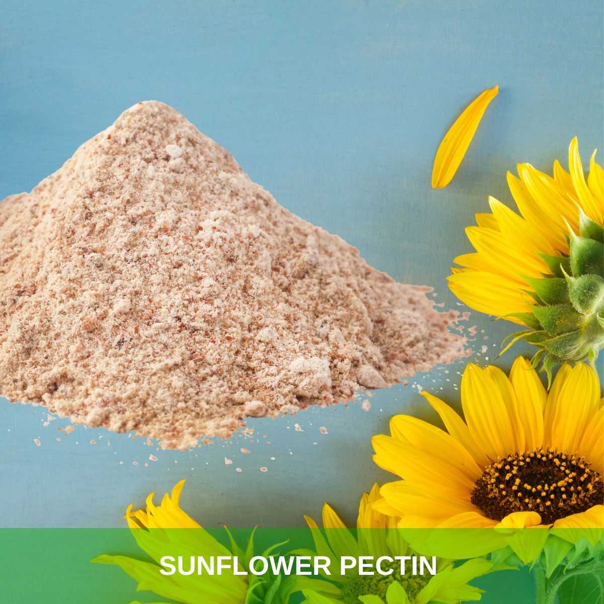 Sunflower Pectin Natural LM Sunflower Pectin from Sunflower Byproducts