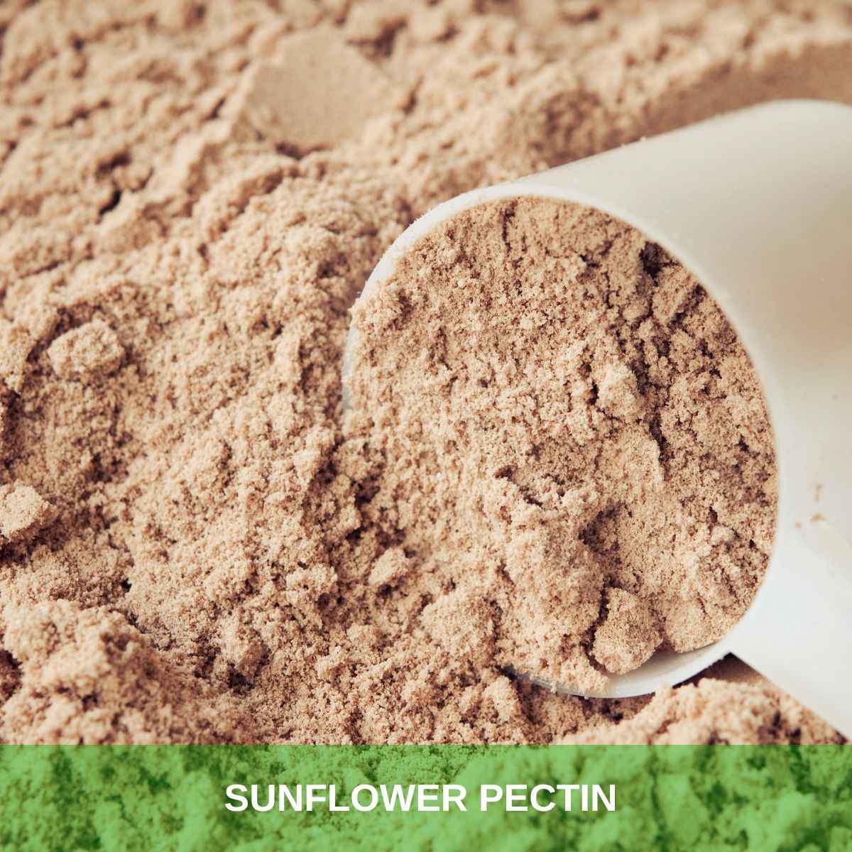 Sunflower Pectin Natural LM Sunflower Pectin from Sunflower Byproducts