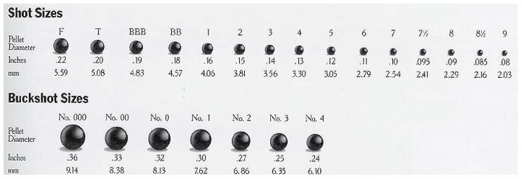 Best Tactical Shotgun Options And Buyer’s Guide (2021) - Right 2 Carry
