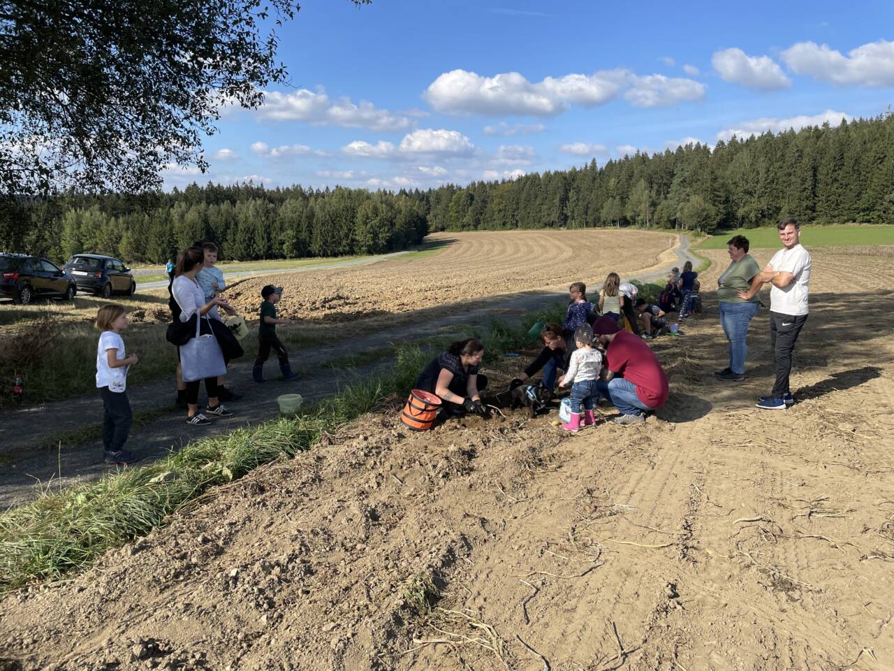 Die Kinder graben zusammen mit Ihren Eltern auf dem Feld in Förstenreuth.