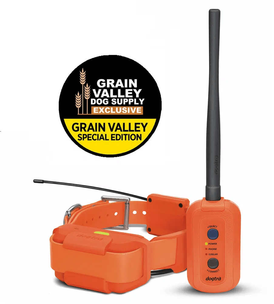 Dogtra IQ Mini Small Dog Gun Dog Outfitter