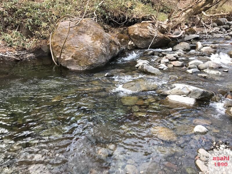 利根漁協協同組合管轄の「根利川」釣行記(2020年4月上旬)│群馬のグンマーブログ