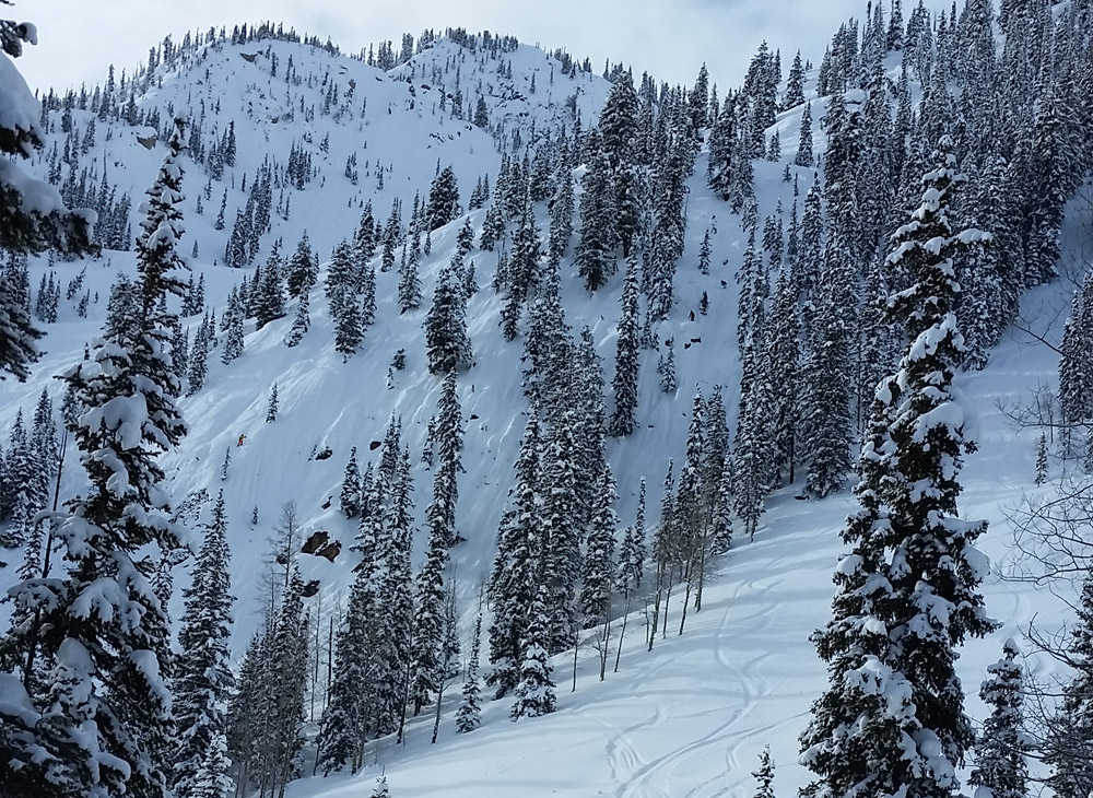 Winter 2017 Photo Essay