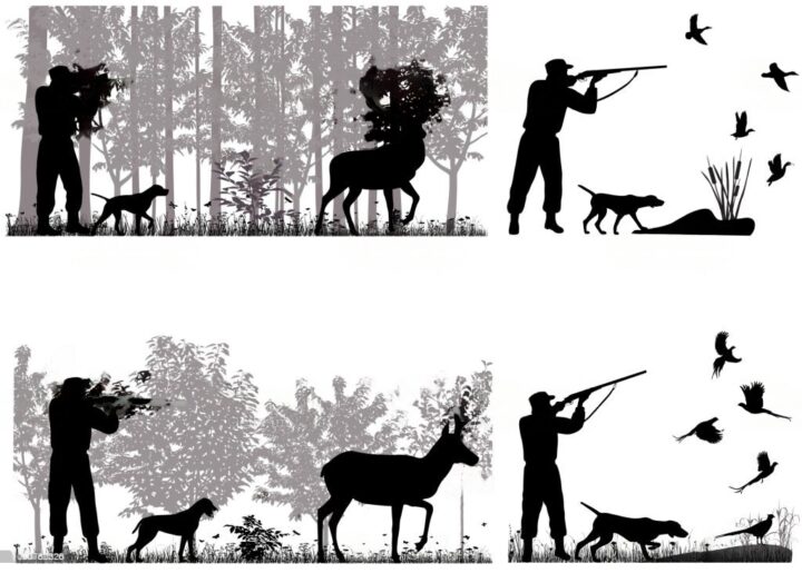 Why Are Hunting Regulations Passed? [Benefits] Gunopticslens