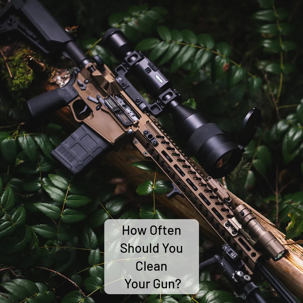 How Often Should You Clean Your Hunting Rifle Best Practices Gun Safe Security