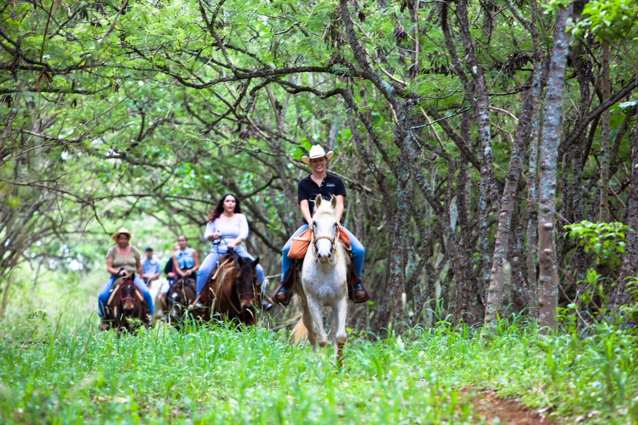 Horseback Rides Gunstock Ranch Horseback Riding & Tours in Oahu