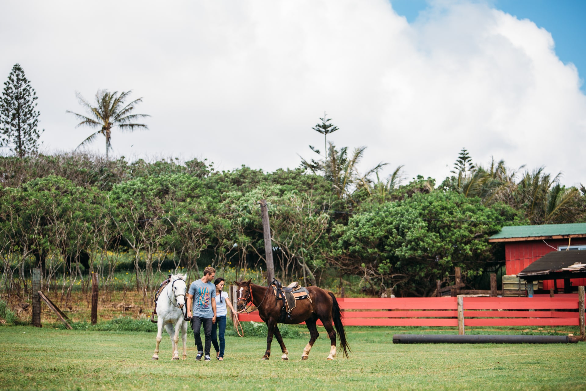 Horseback Rides Gunstock Ranch Horseback Riding & Tours in Oahu