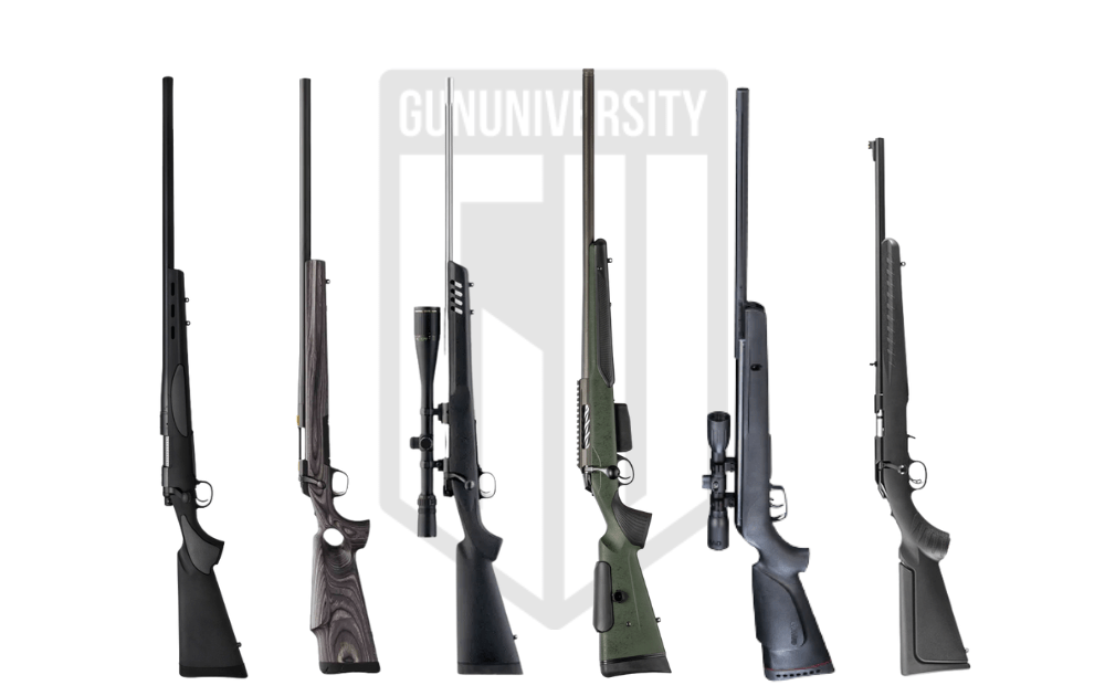 Best Varmint Rifle 2024 Reviews + Buyers Guide