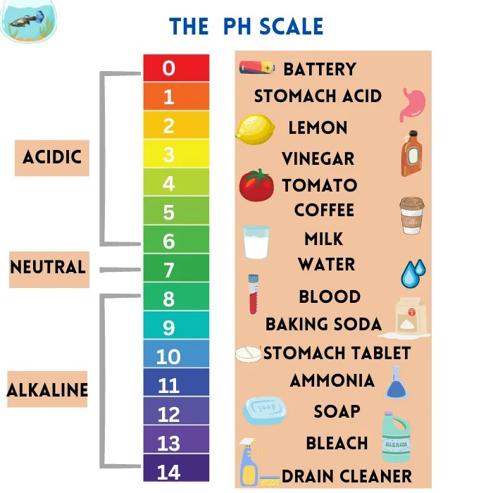 Best Water pH For Guppies (And How To Get It) 2024