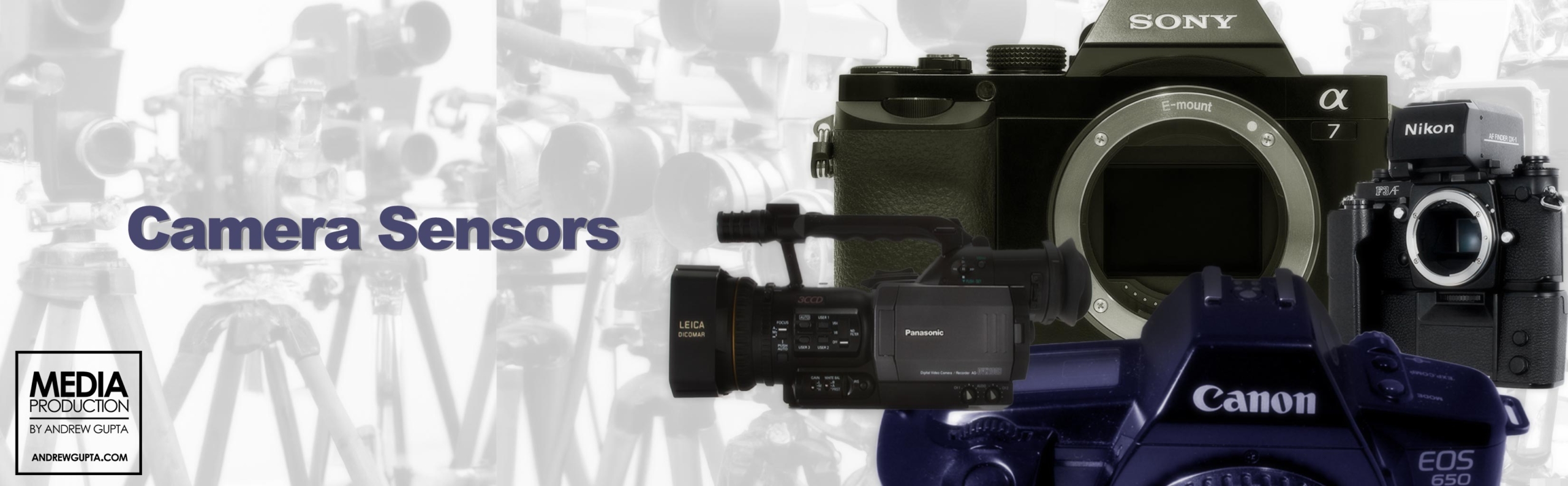 Camera Sensors Explained Andrew Gupta Photographer and Media Producer