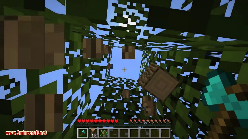 Quick Leaf Decay Mod 1.16.2/1.15.2 ( ตัดต้นไม้ไว )