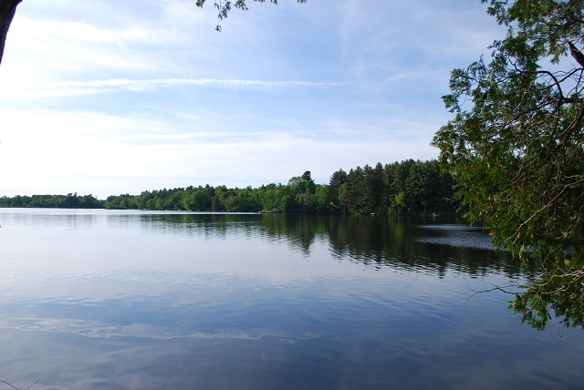 LONG LAKE Westport Real Estate with Tammy & Heath Gurr at Royal LePage ProAlliance Realty