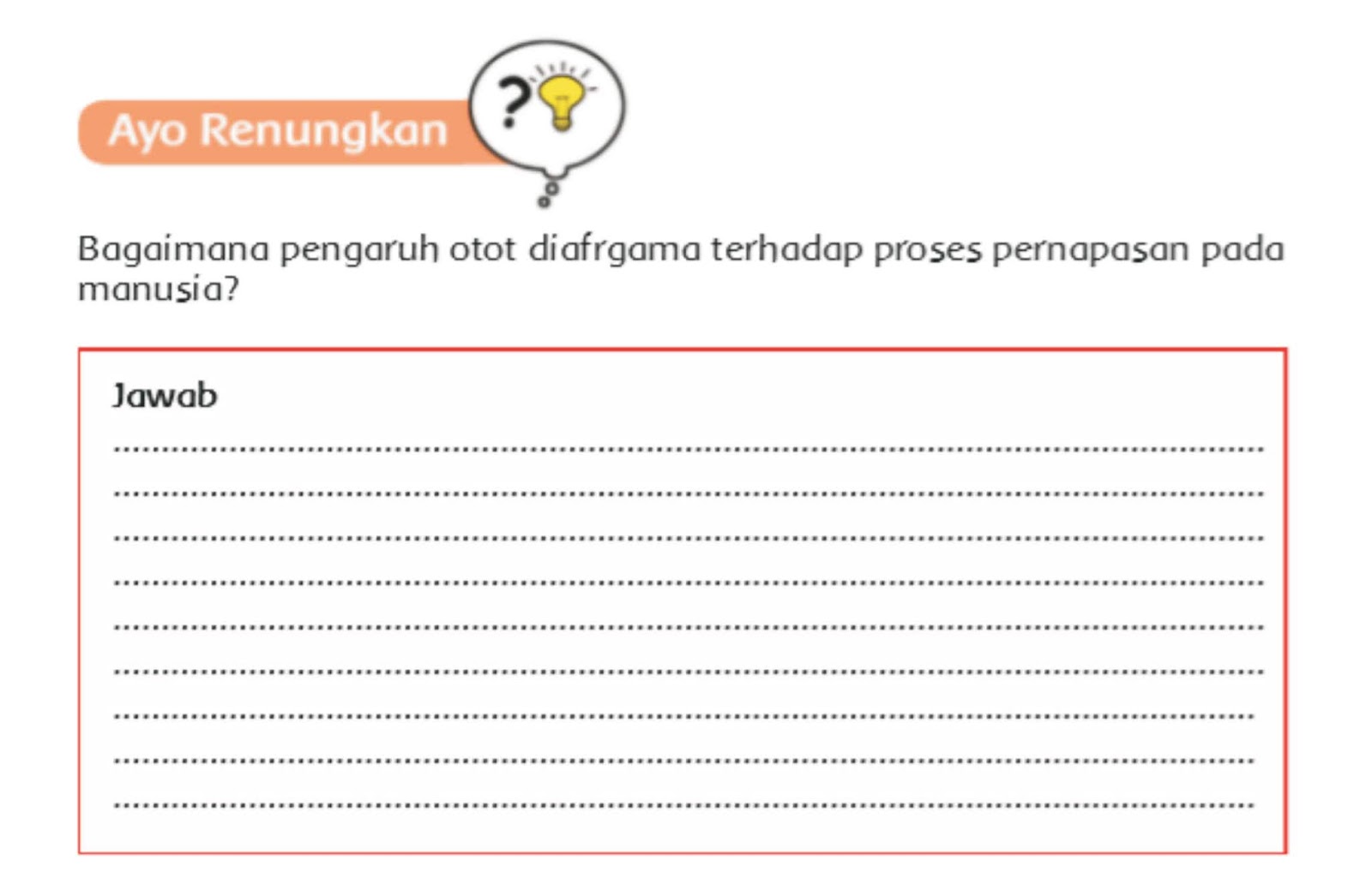 Bagaimana Pengaruh Otot Diafragma Terhadap Proses Pernapasan Pada