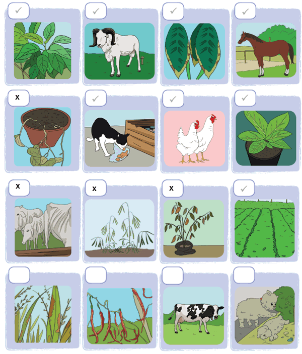 ciriciri tumbuhan dan hewan yang terawat dan tidak terawat