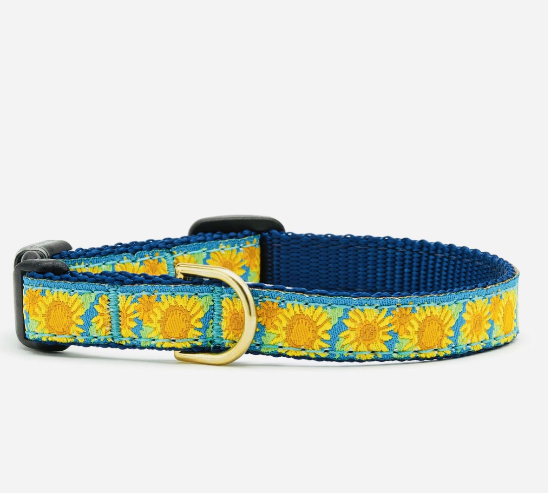 Cat Collar Sunflower Gussied Up Pet Boutique