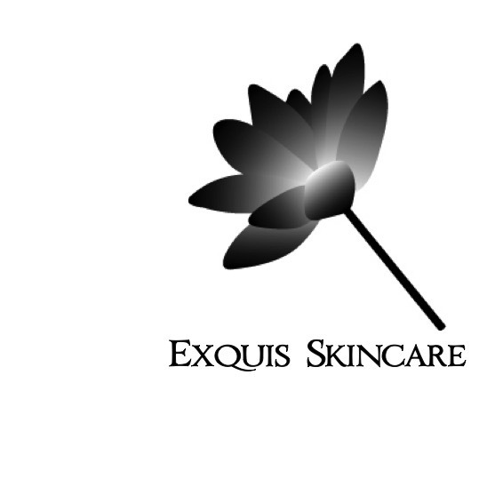 Exquis LLC | Harriman, NY, US Startup