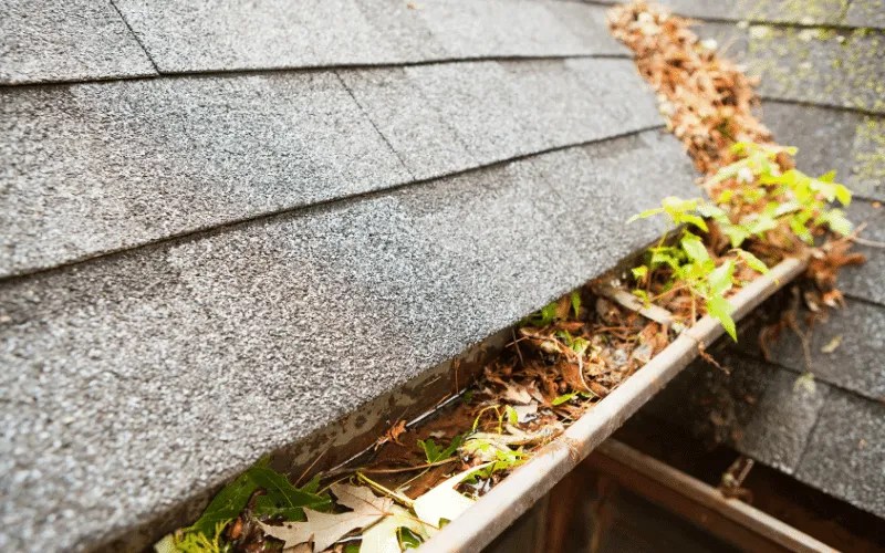 Raleigh NC Gutter Cleaning Raleigh Gutters