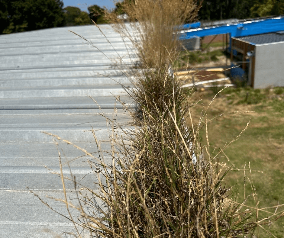 Cleaning Gutters From the Ground? Gutter Cleaner Reveals all…