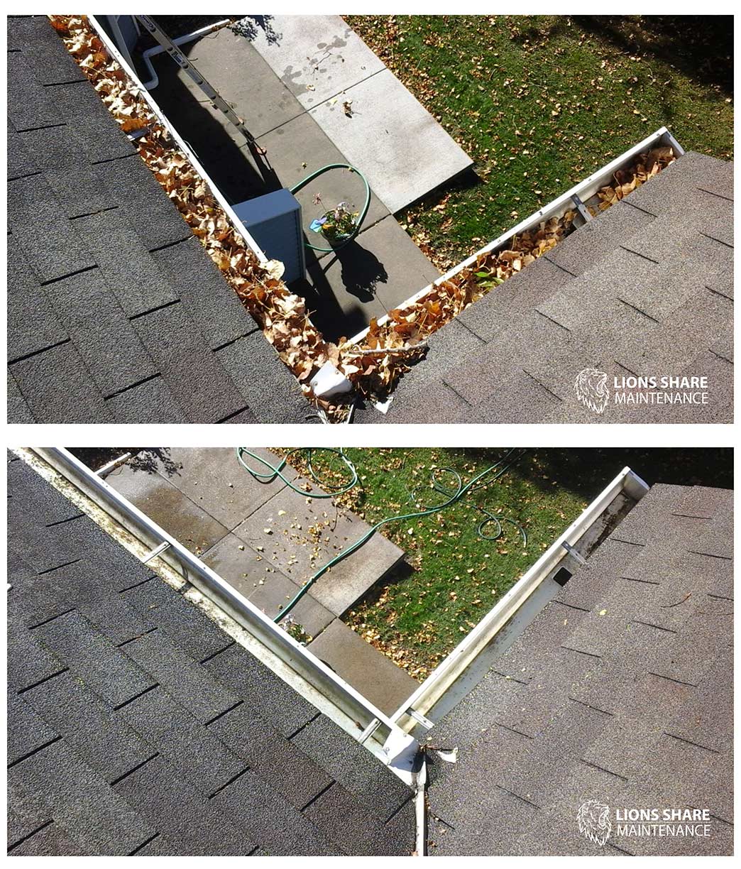 Best Gutter Cleaning Services in St. Paul Minnesota