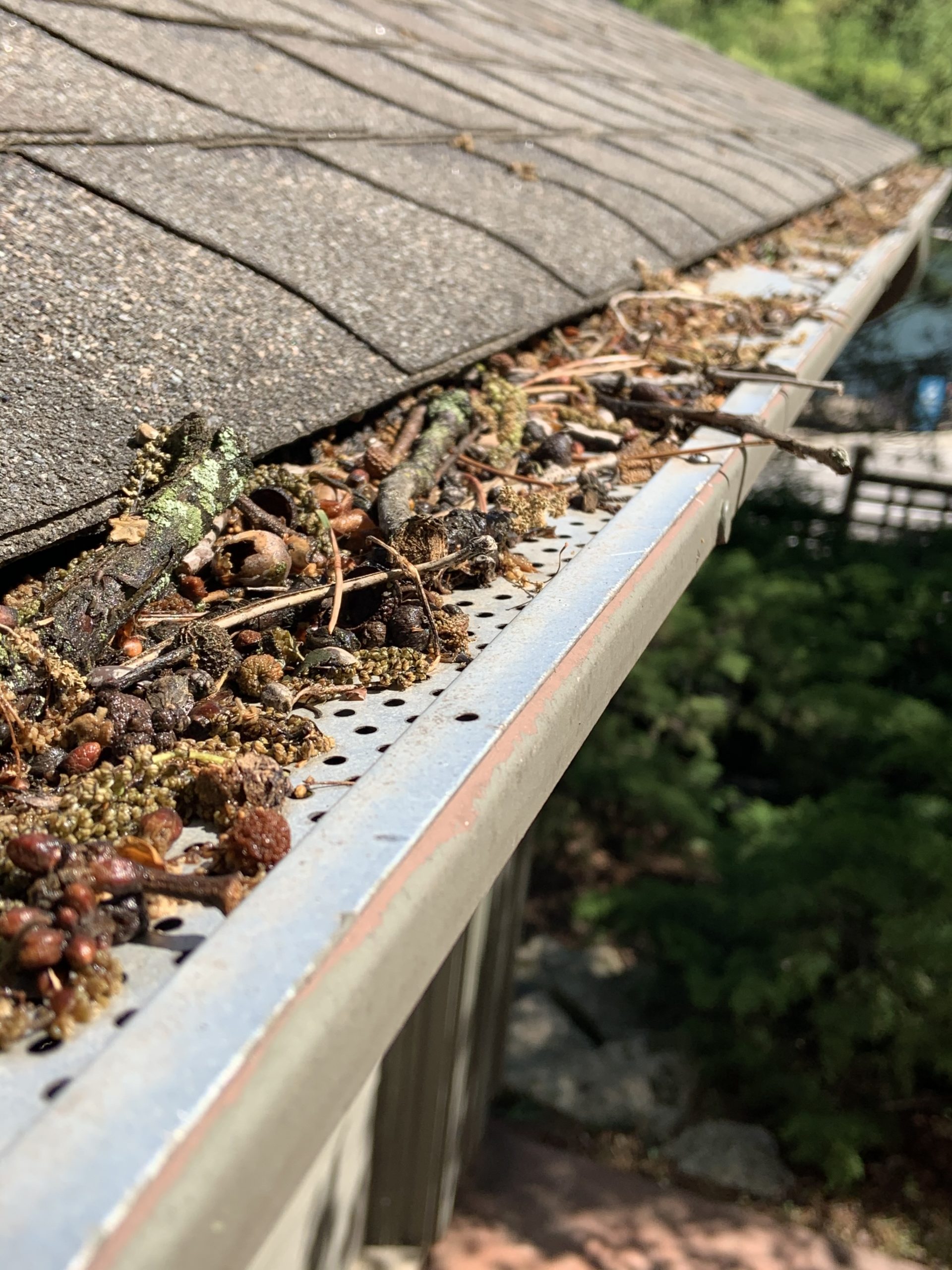 IMG_4677 Gutter Cover of Kansas City