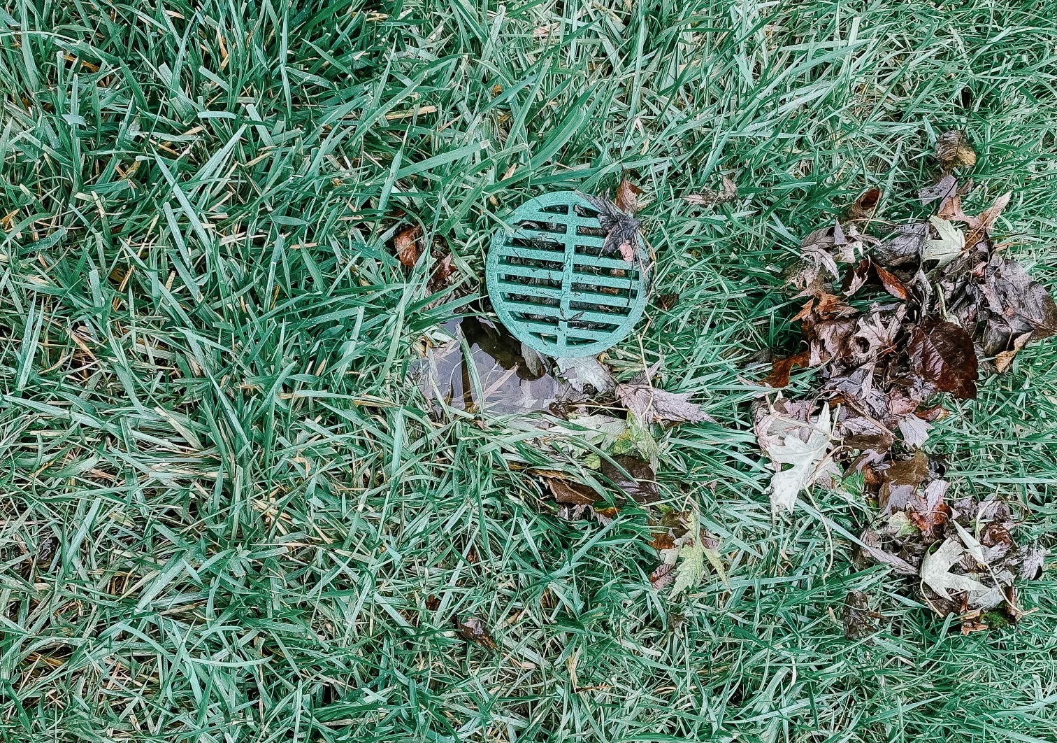 Overflowing Gutters Why Gutter Cleaning Isn't Enough