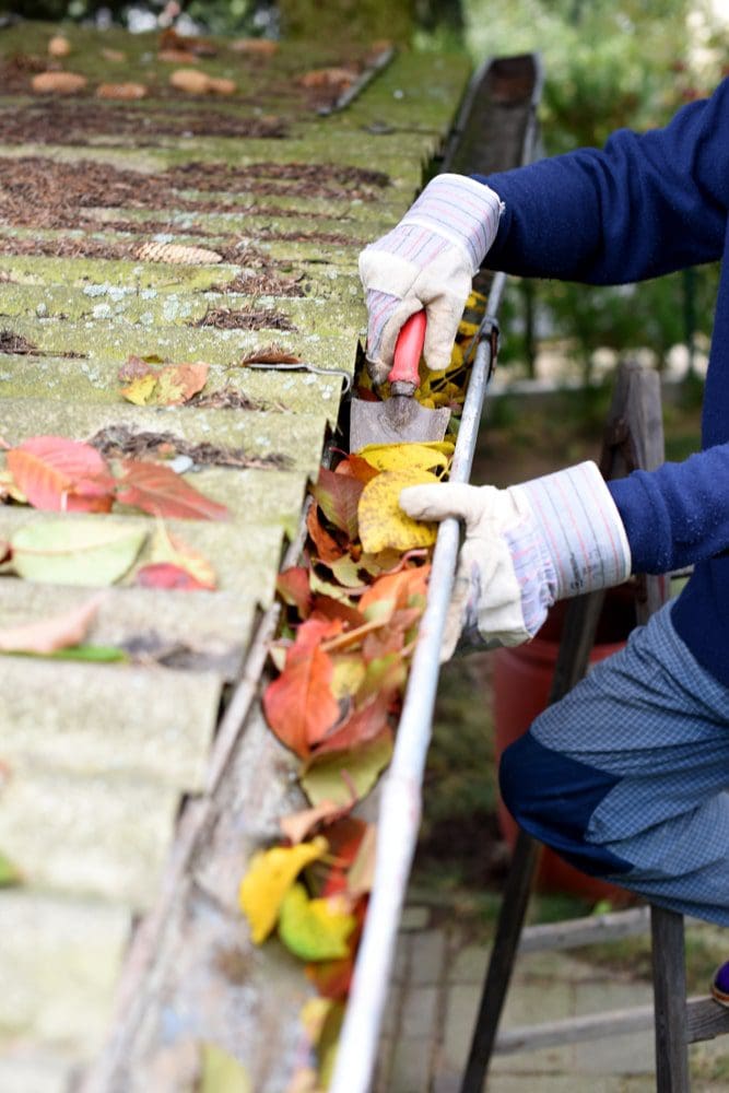 Gutter Cleaning 25 OFF Your Fist Gutter Cleaning Service