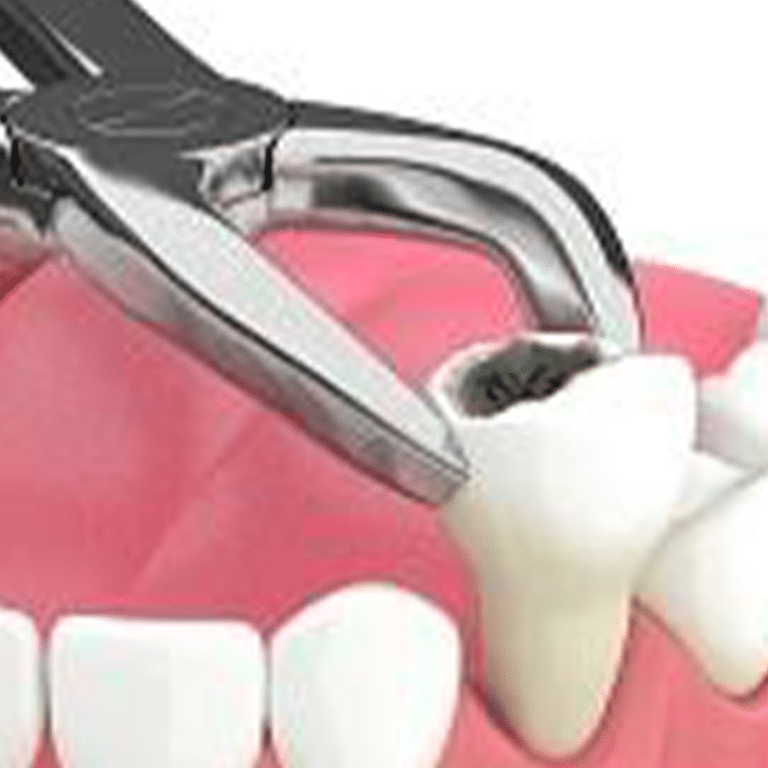 Guttormsen & Hoffner Dental Dentist in Kenosha
